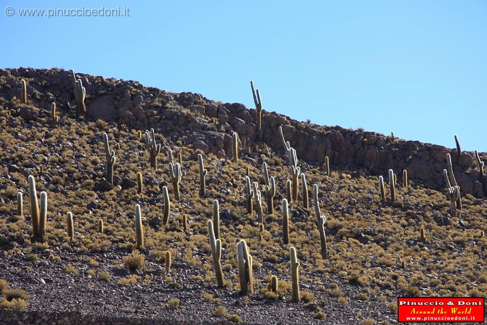 BOLIVIA 2 - On the road - 2.jpg